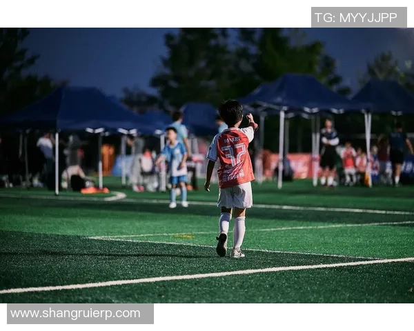 最美韩国足球明星的魅力与成就揭秘，盘点他们在绿茵场上的风采与影响力