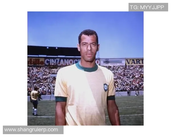 揭晓9号球衣背后的传奇人物是谁这位足球明星的故事你知道吗