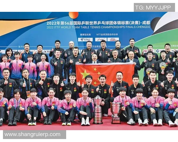 杭州乒乓球队团队协作表现的深度数据分析与研究探讨