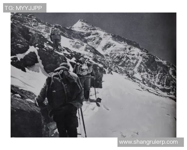 深圳排球队的蜕变之路:从传统强队到现代化竞技新标杆 深圳排球队的蜕变之路:从传统强队到现代化竞技新标杆