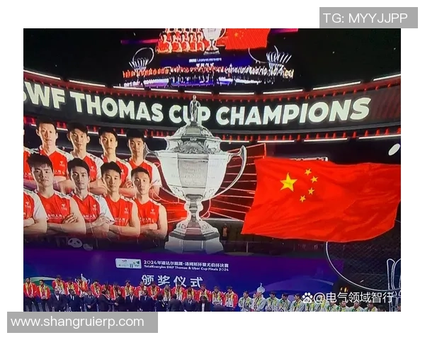 深圳羽毛球队与杭州羽毛球队赛后战术分析与复盘探讨