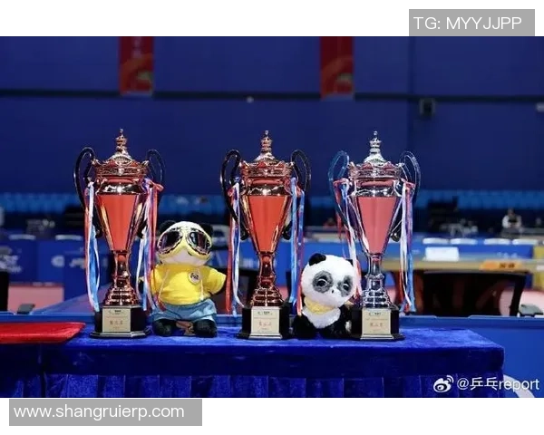 西安乒乓球队在精英赛中的心理素质分析与表现评估