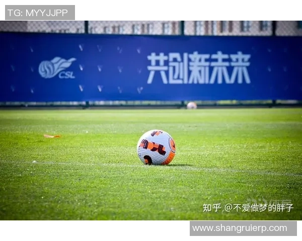 足球五大联赛中的璀璨明星们他们如何影响全球足球的未来与发展