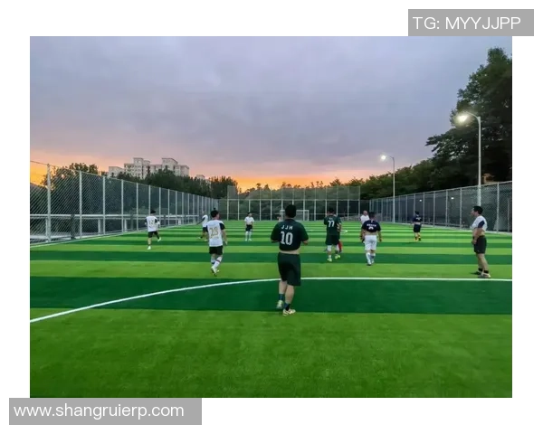 足球明星私宅揭秘：豪华足球场与家庭生活的完美结合