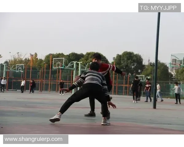 陈磊独家分享排球心得与技巧助你提升球技的全面指南