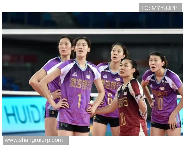 排球焦点：南京排球队的实力探讨