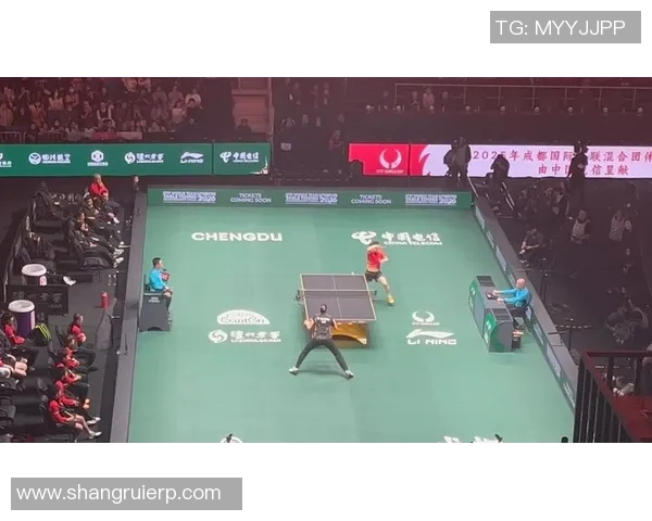 乒乓球战术：成都乒乓球队的整体压制体系