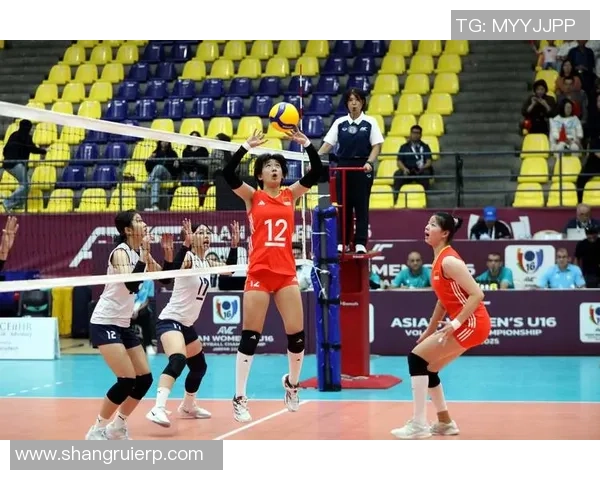 排球焦点:杭州排球队的速度探讨 排球焦点:杭州排球队的速度探讨