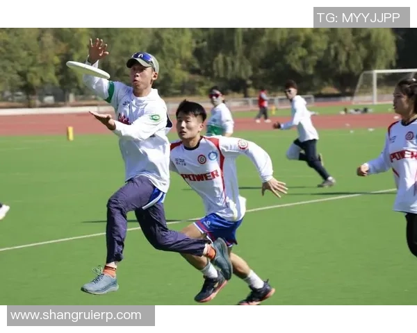 飞盘焦点：南京飞盘队的技术探讨