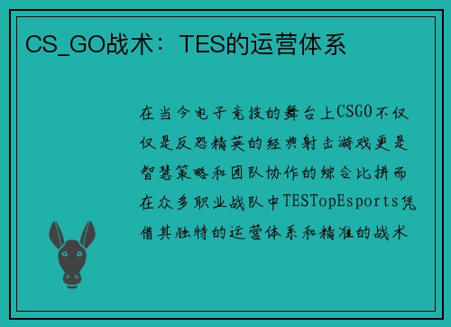 CS_GO战术：TES的运营体系
